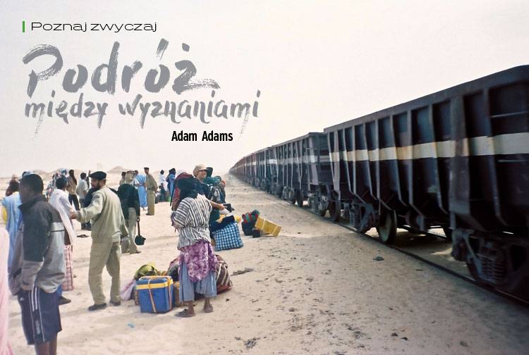 Losowy darmowy artykuł